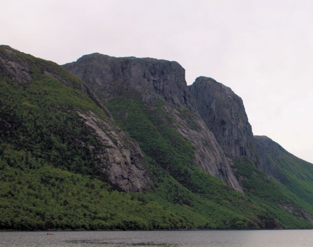 Reinaknuten image